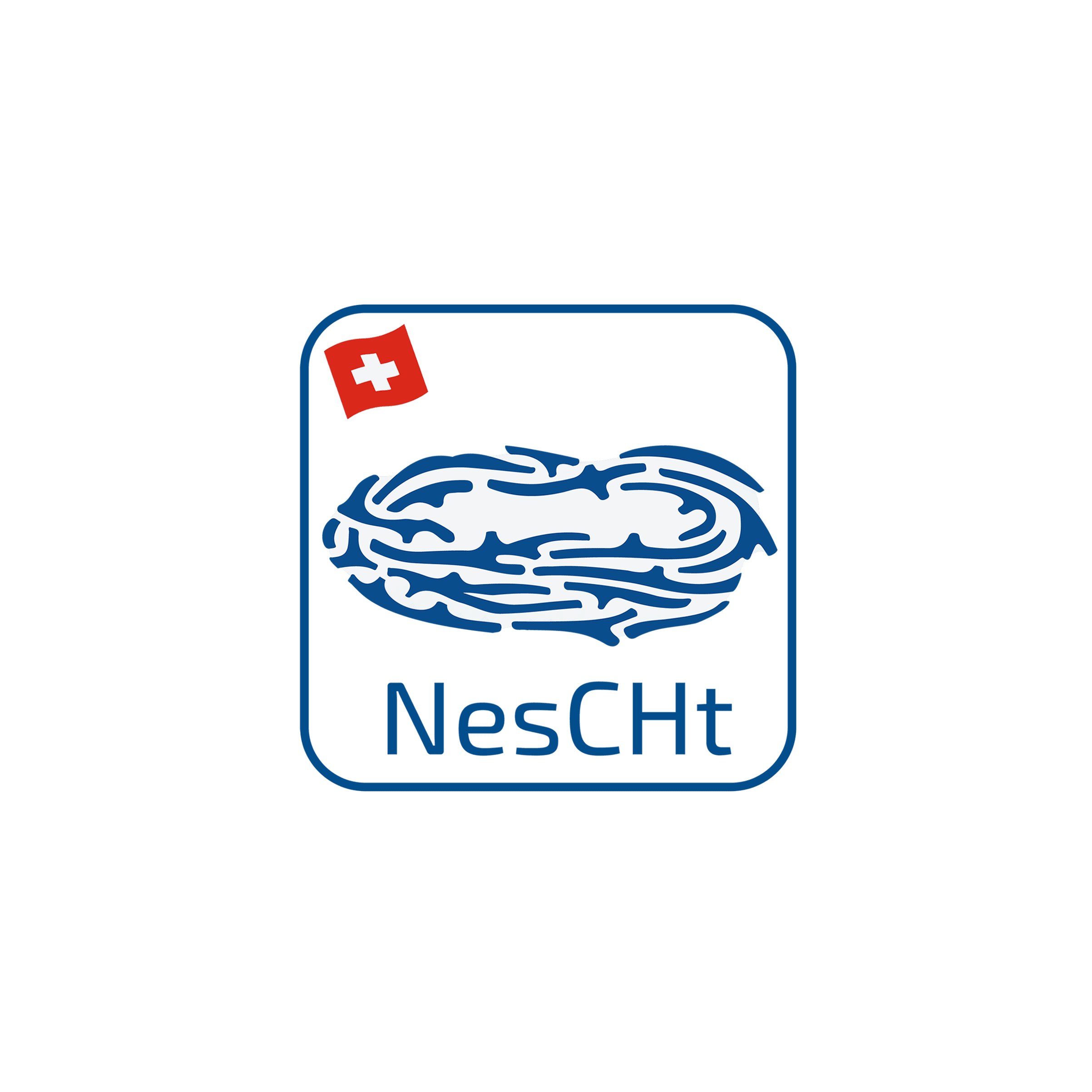 Sicherer Datenspeicher in der Schweiz - NesCHt®